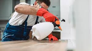 Professional Pest control in Springdale, NC